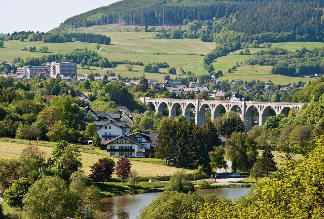 Fewo Blumes Bergfrieden Mit Meinecardplus فيلنغن المظهر الخارجي الصورة